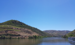 Win een weekend weg naar de Douro Vallei in Porto